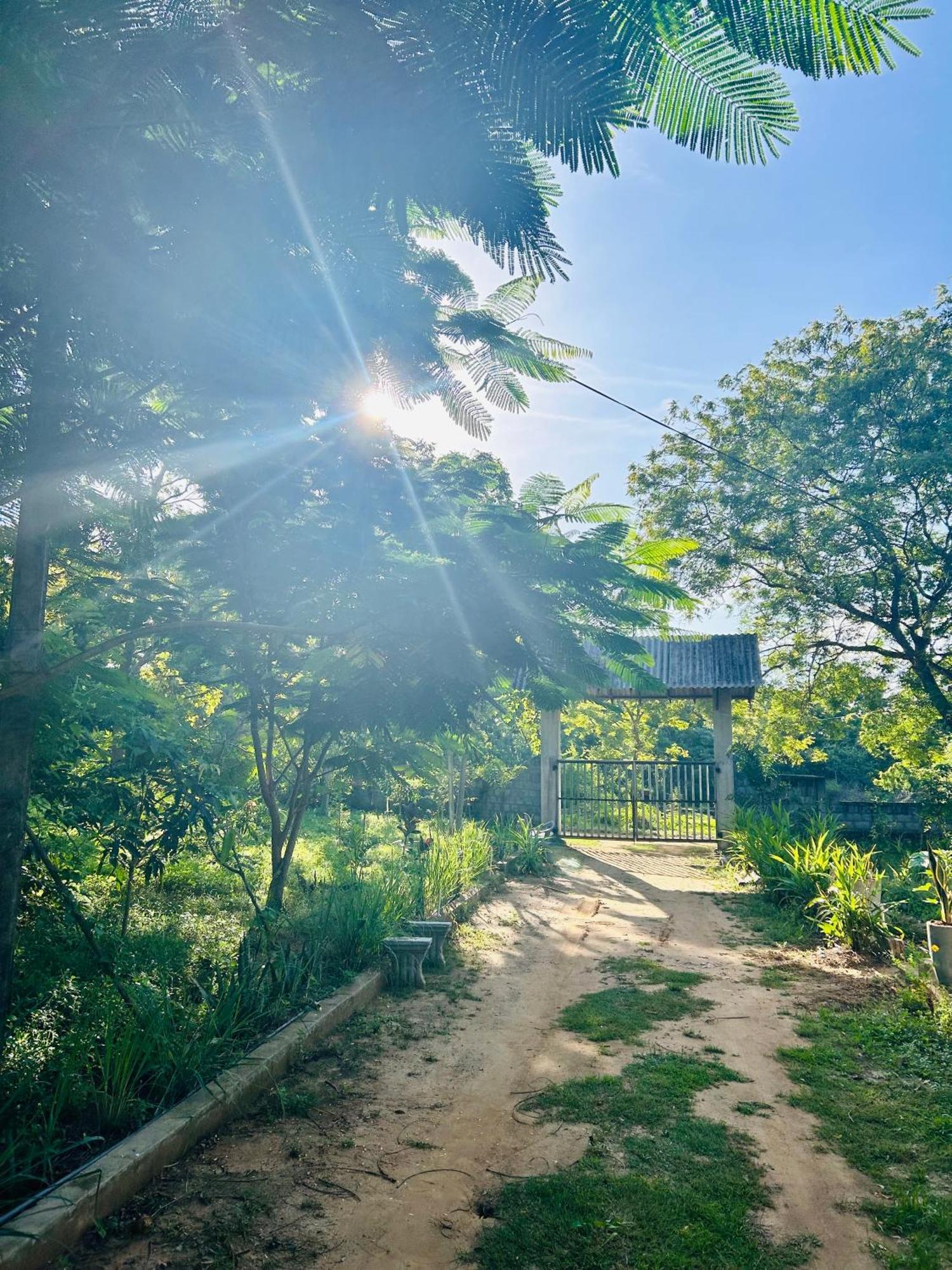 Neem Holiday Bungalow Yala Tissamaharama Eksteriør bilde
